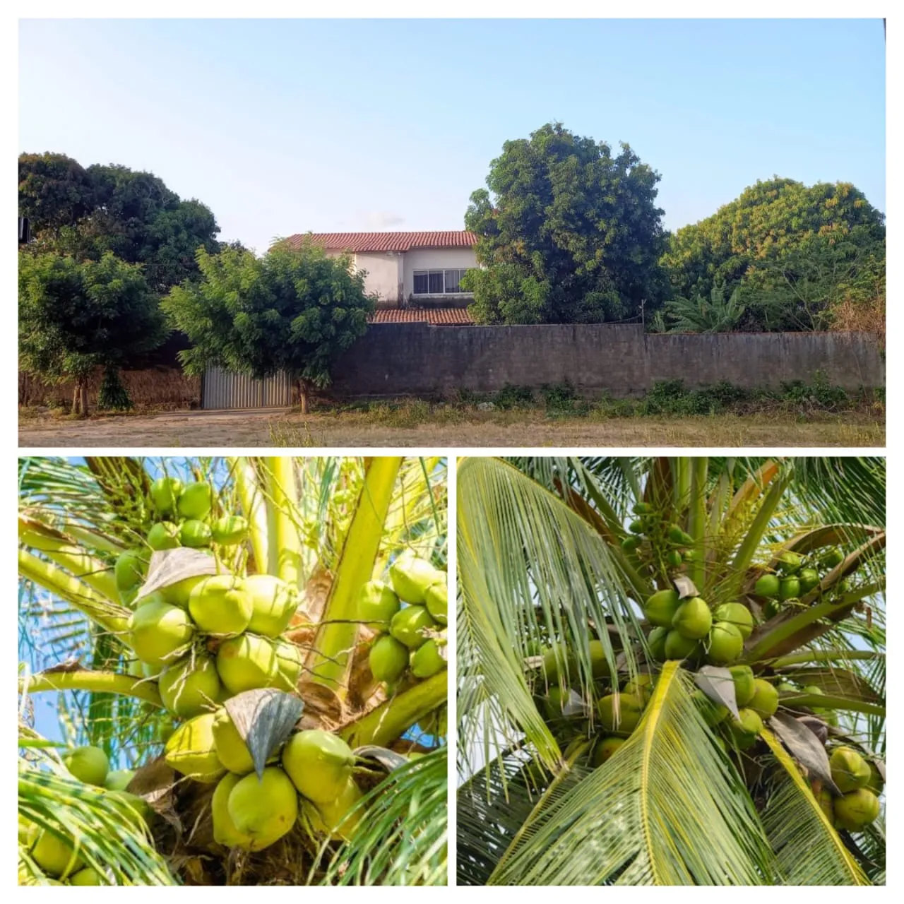 Chácara com casa em terreno de 900m2
